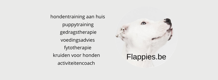 Flappies Hondentraining Flappies Hondentraining